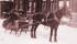 My father's aunt and uncle, Sam & Lily Lester, with Morris Mentel, Toronto ca 1910.